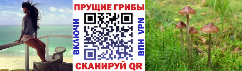 Галлюциногенные грибы мухоморы  Иланский 