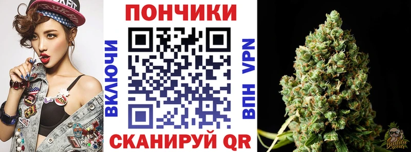 Шишки марихуана VHQ  mega маркетплейс  Иланский  магазин продажи  